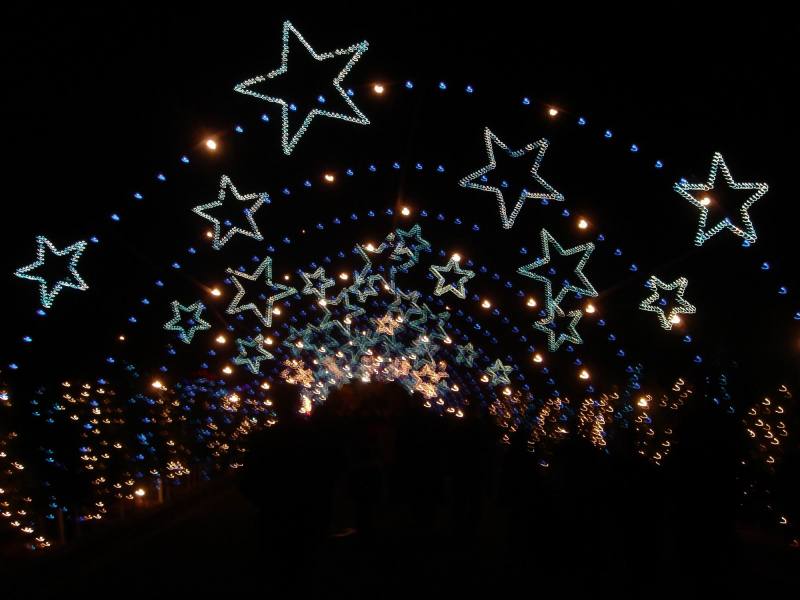 2005/12(Dec)/01(Christmas-Lights)/02(AustinTrail Lights)/800x600_2005-12-22-30.JPG